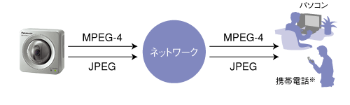 MPEG-4 & Motion JPEGデュアル通信図
